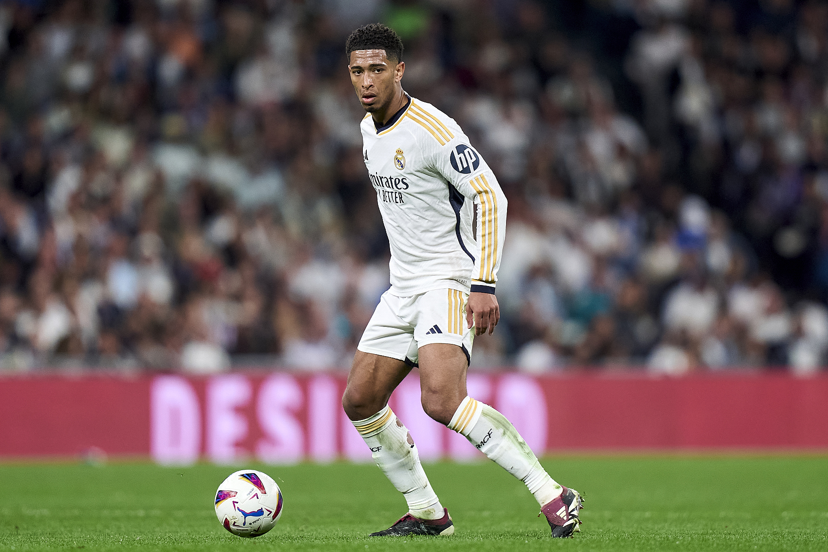 这个成功案 这个成功案